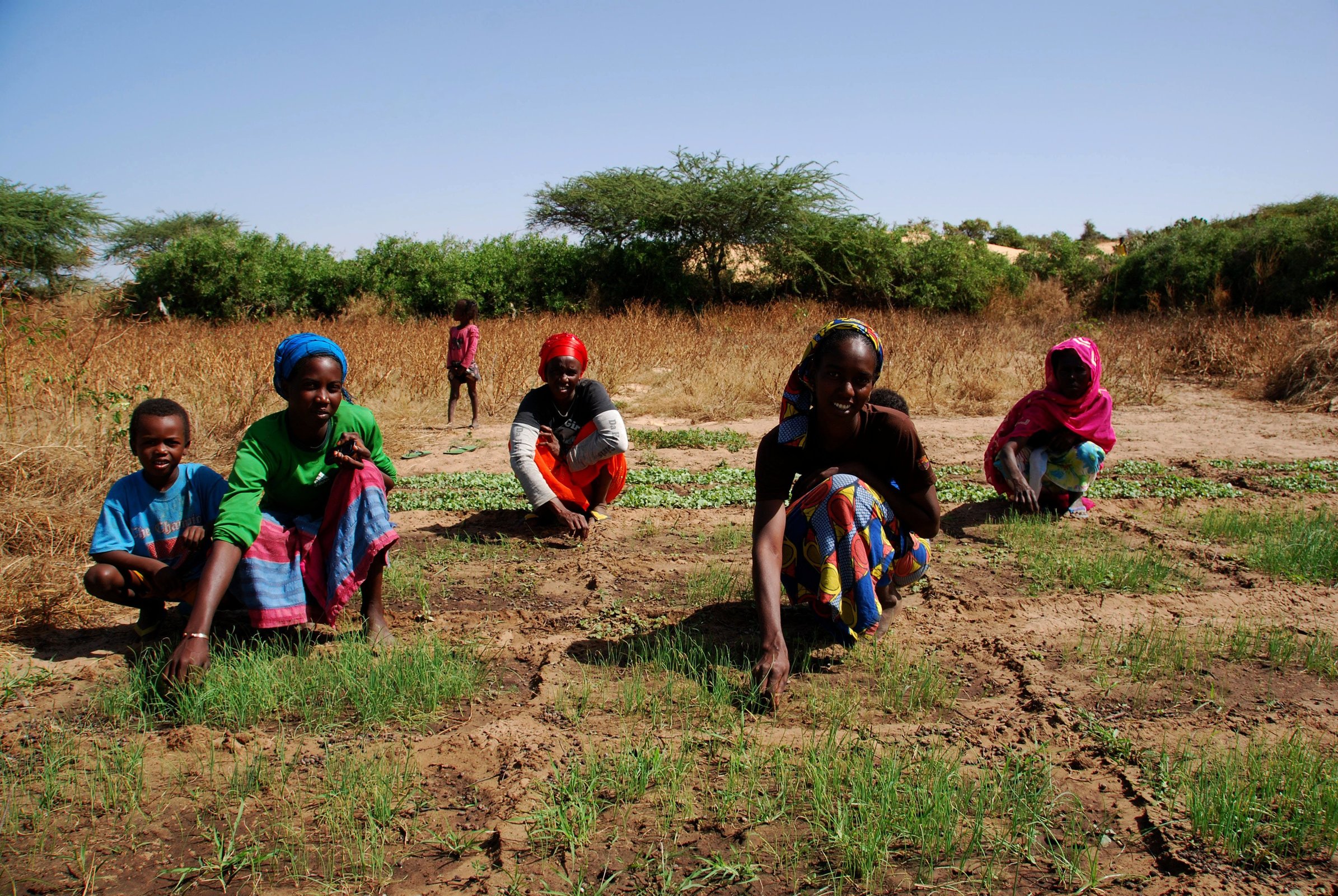 huerto sahel